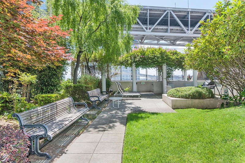 garden area