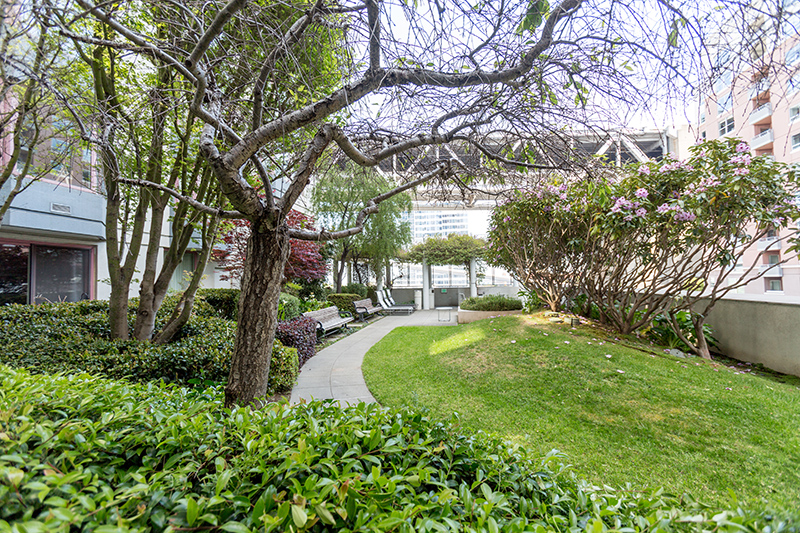 View of garden