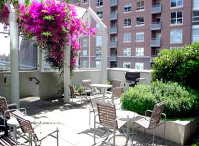 bbq area
