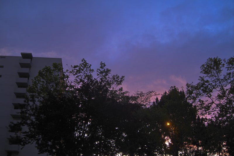 view
