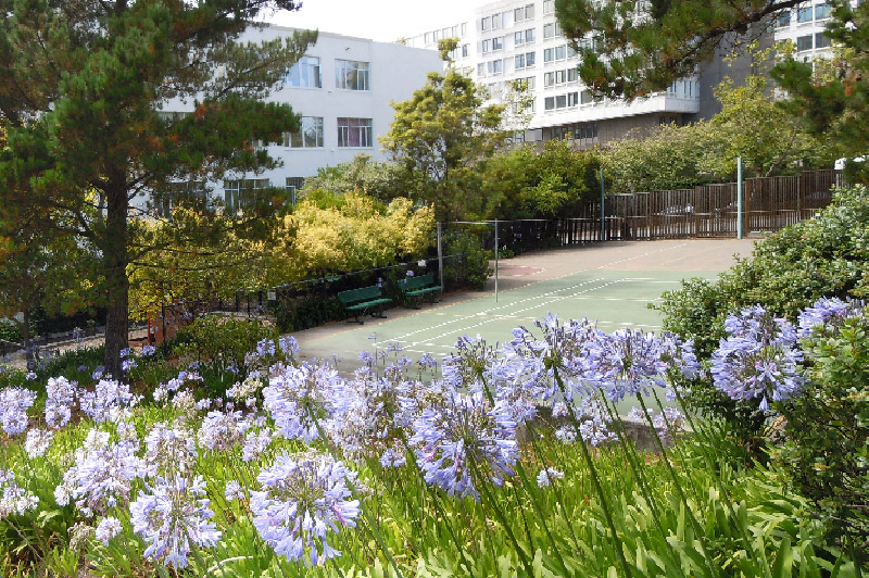 garden