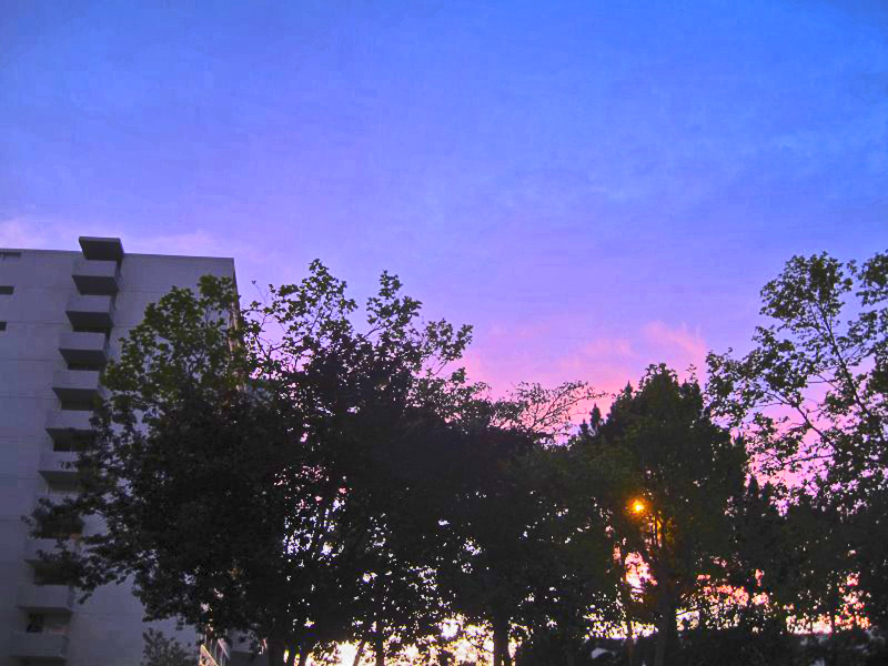 sunrise