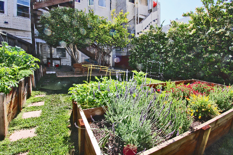garden area