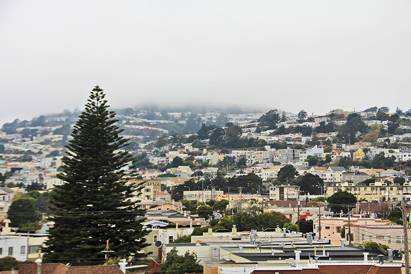view
