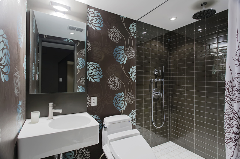 lower level bathroom