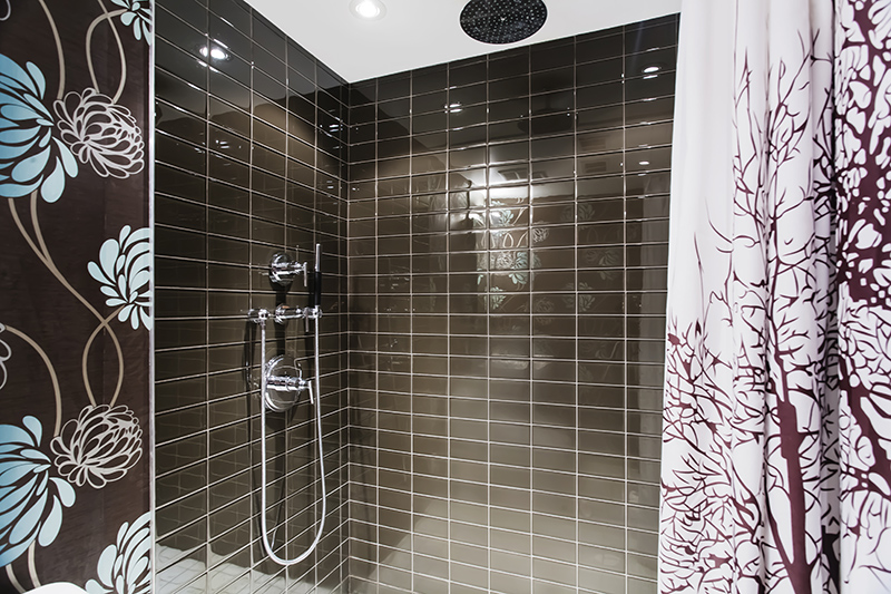 lower level bathroom